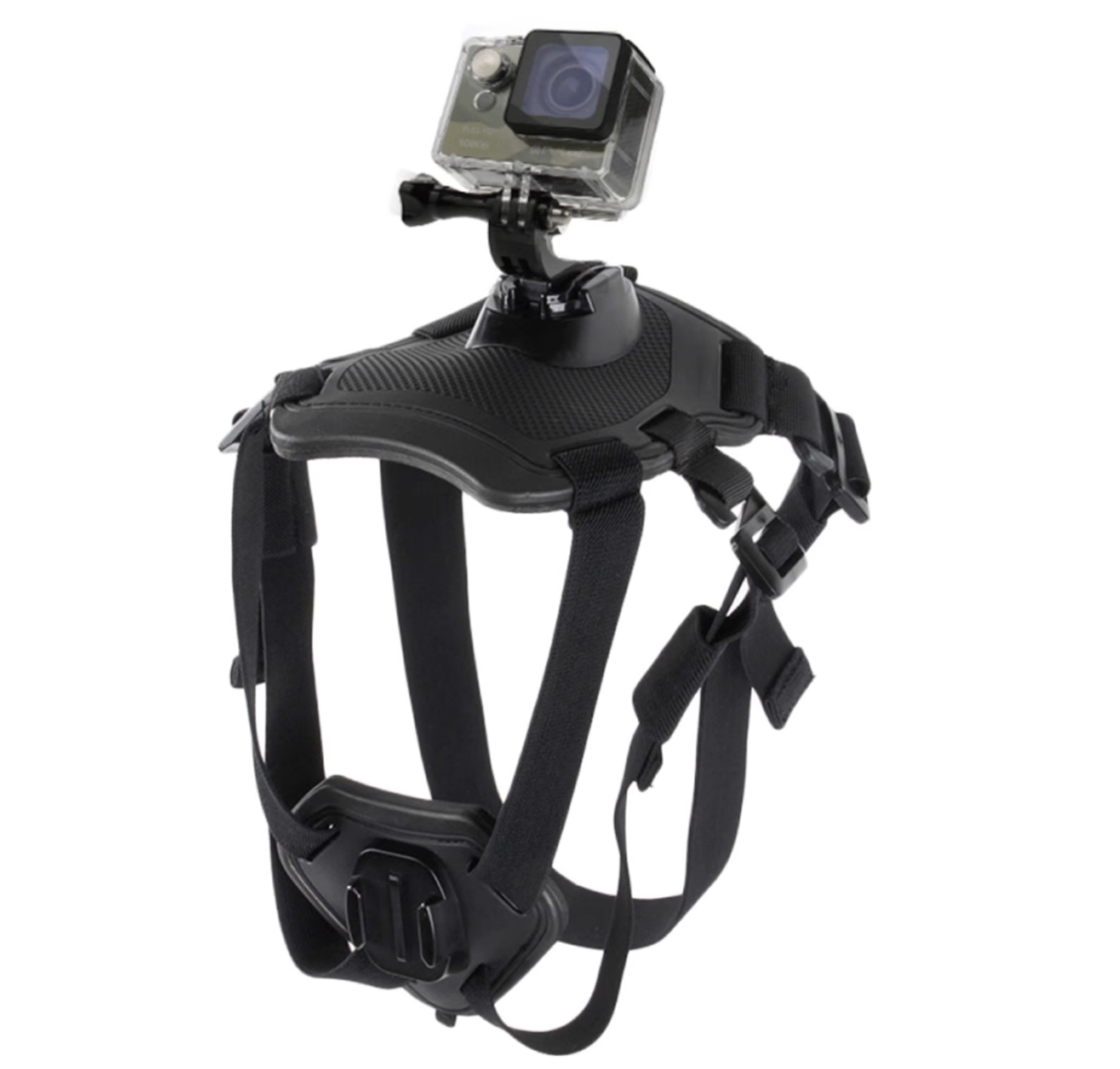 PULUZ胖牛運動相機狗帶適用GoPro polaishop 5