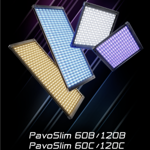 NEWS 152 Pavoslim